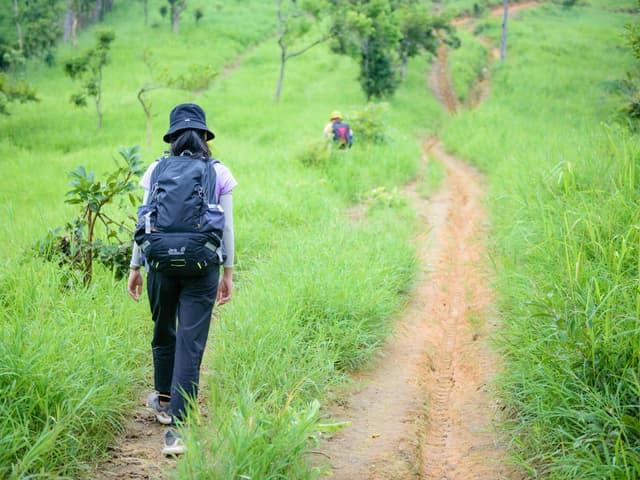 A pilgrim sets out on the Camino de Santiago, one of nine routes to Santiago de Compostela