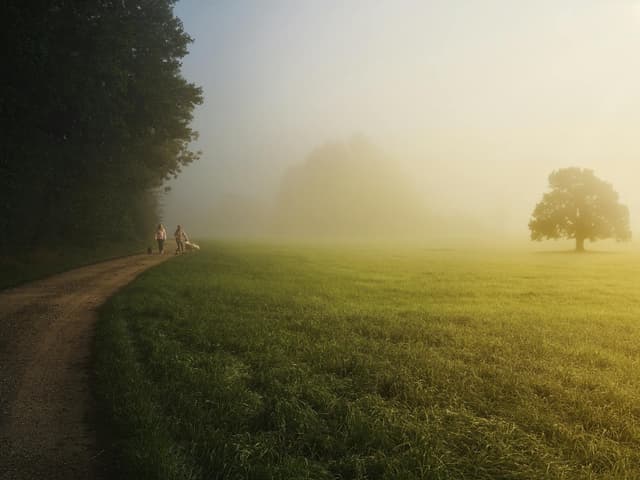 The Camino de Santiago at dawn, a daily ritual for pilgrims staying in donativo albergues along the way