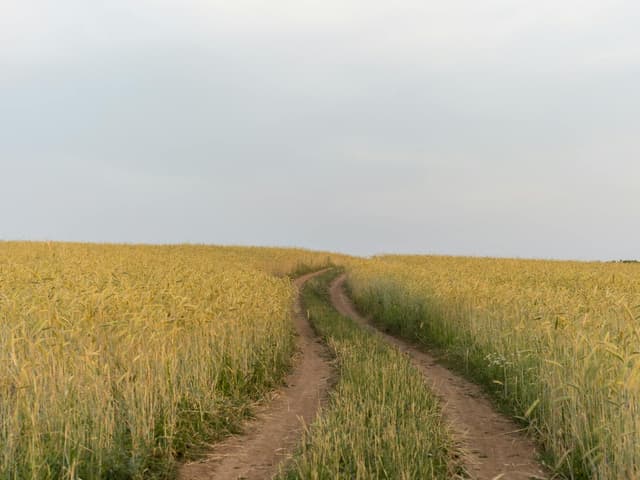The wide open Meseta plains of central Spain on the Camino Frances, the most popular Camino route