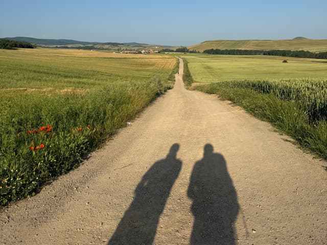 Which Camino Route Should I Choose? A Complete Guide for Every Pilgrim