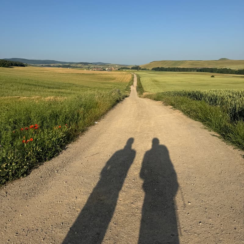 Which Camino Route Should I Choose? A Complete Guide for Every Pilgrim